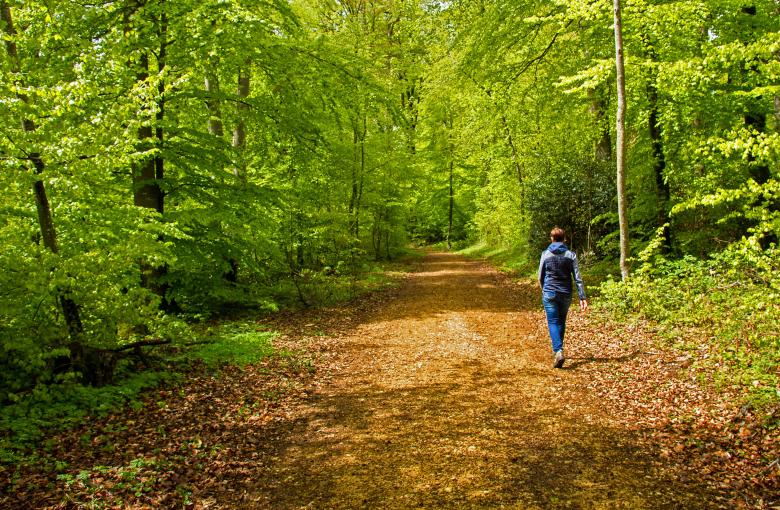 Waldspaziergang